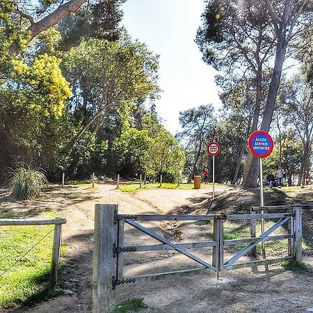 Apartamento Adia Lloret de Mar Eksteriør bilde